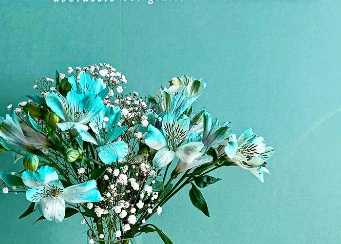 Stelle D'acqua 4* Monopoli