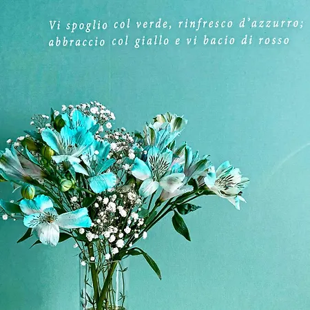 Stelle D'acqua 4* 모노폴리